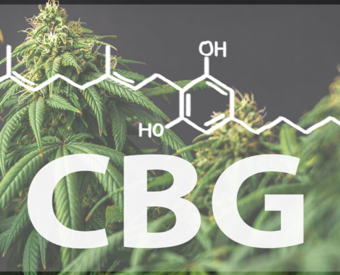 CBG – das Super-CBD