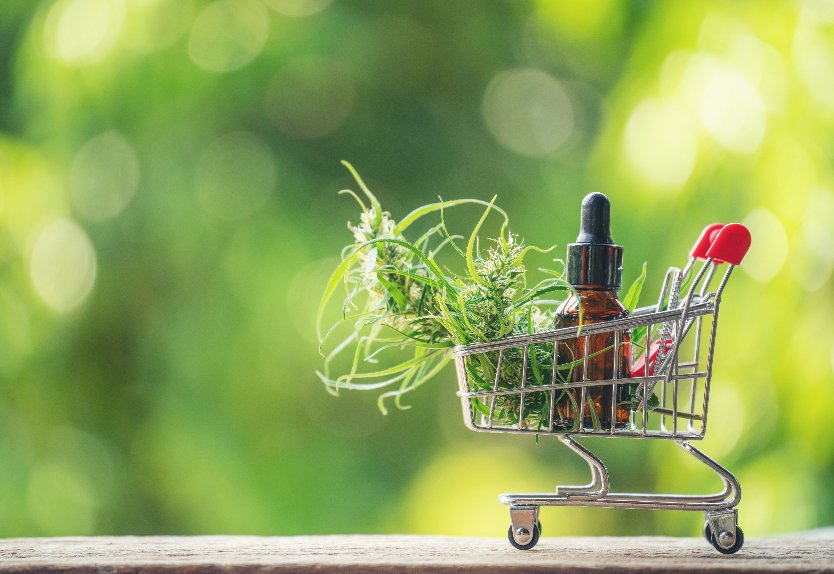 Miniatur Supermarkt-Einkaufswagen mit einem Fläschchen CBD-Öl und zwei frische Cannabisblüten drin. 7 Dinge, die Sie beim CBD-Öl kaufen beachten sollten